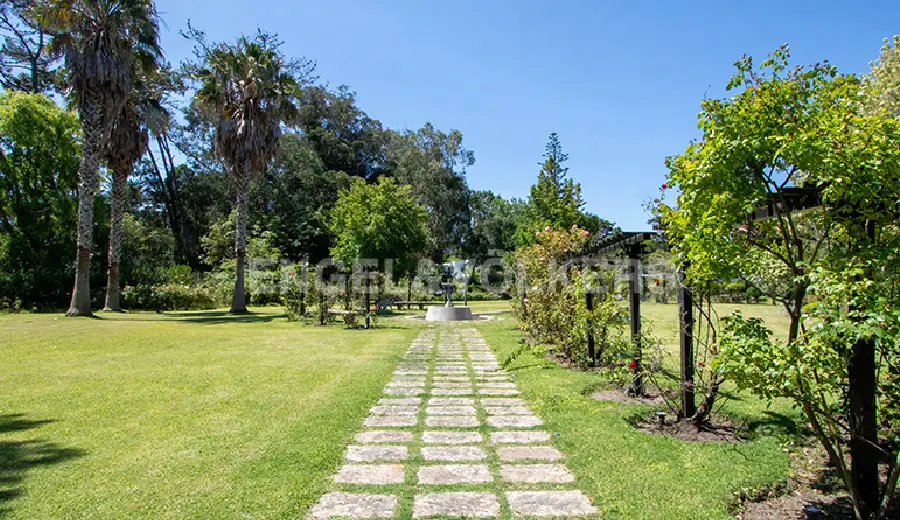 Ample Green Cover and Landscaping