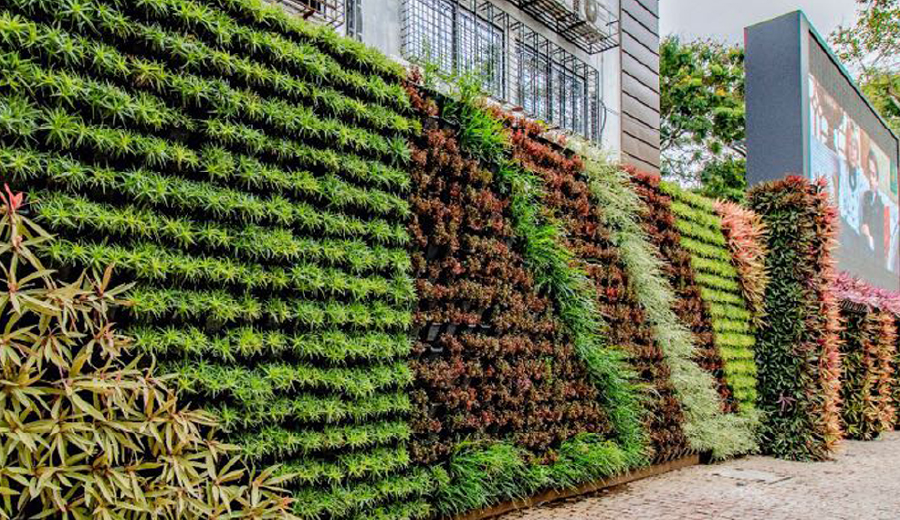 Vertical Green Walls