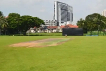 Cricket Pitch in Renox Thrive