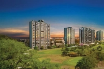 Renox Thrive Low-Density