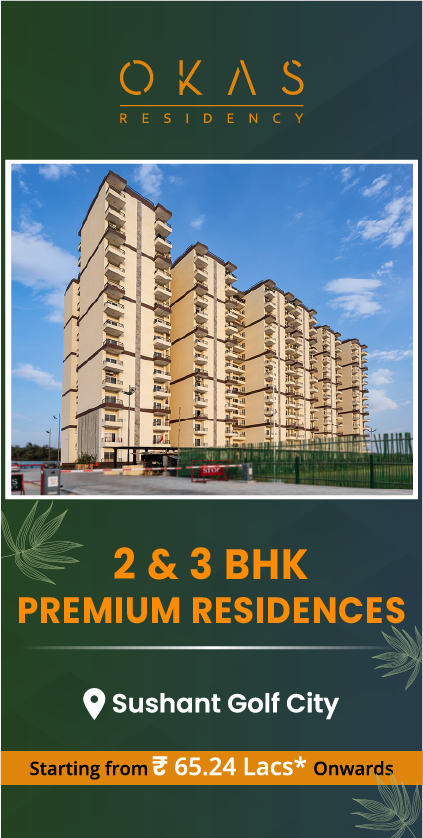 pardos okas residency